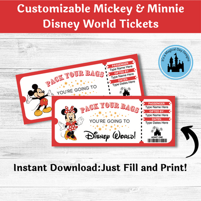 Complete Disney World Trip Reveal Kit